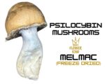 PSILOCYBIN MUSHROOMS <br> MELMAC (FREEZE DRIED)