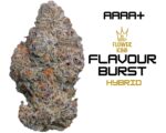 (AAAA+) HYBRID <br> FLAVOUR BURST (3.5 GRAMS) <br> ** 15% OFF SALE **