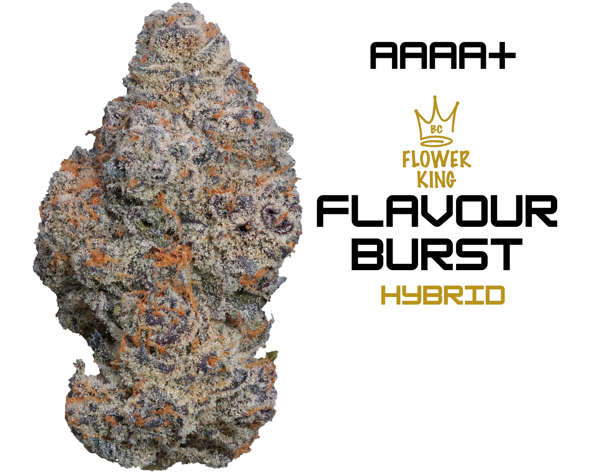 AAAA+ Flavour Burst (AAAA+) HYBRID <br> FLAVOUR BURST (3.5 GRAMS) <br> ** 15% OFF SALE ** - Image 1