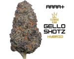(AAAA+) HYBRID <br> GELLO SHOTZ (3.5 GRAMS) <br> ** 10% OFF SALE **