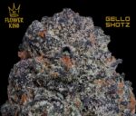 (AAAA+) HYBRID <br> GELLO SHOTZ (3.5 GRAMS) <br> ** 10% OFF SALE ** - Image 2
