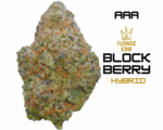 AAA <br> BLOCKBERRY <br> HYBRID