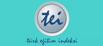 TEI